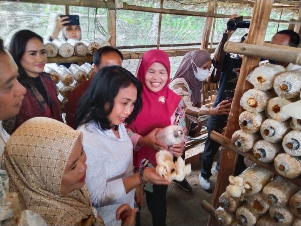 kunjungan kerja ke bitis