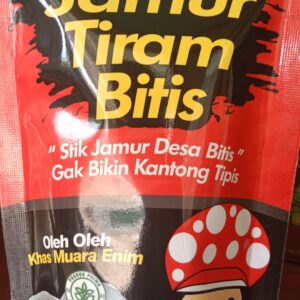 stik jamur tiram