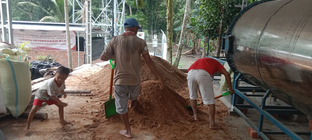 budidaya jamur tiram desa bitis