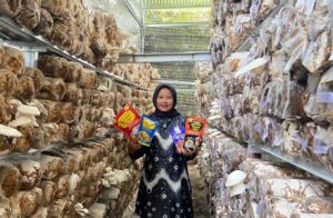 Selain Wisata Danau Ada Juga Olahan Jamur Tiram, Wisata Petik Jamur Segar, Dan Ole Ole